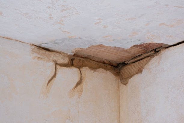 Sewage cleanup and water damage restoration in Montura, FL