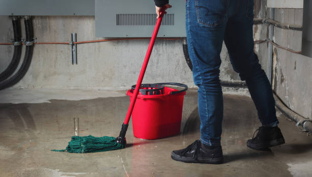 Best Flood damage cleanup  in Montura, FL