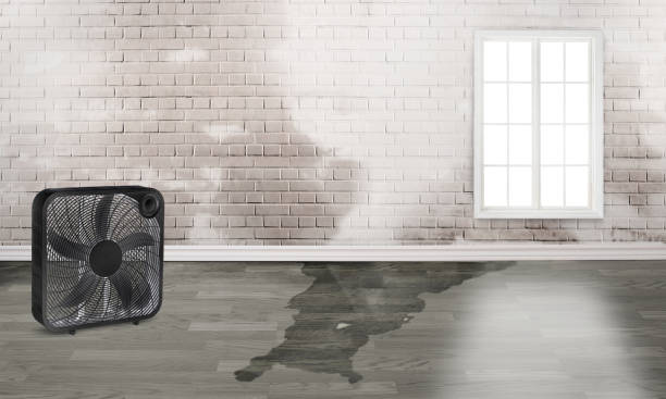 Trusted Montura, FL Water damage restoration Experts