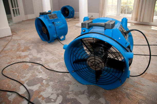 Best Sewage cleanup and water damage restoration  in Montura, FL