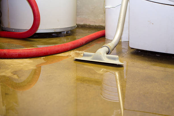 Best Water damage restoration near me  in Montura, FL