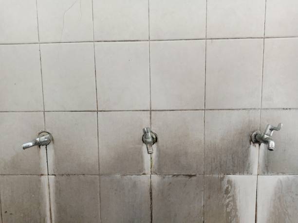 Best Water damage restoration services  in Montura, FL