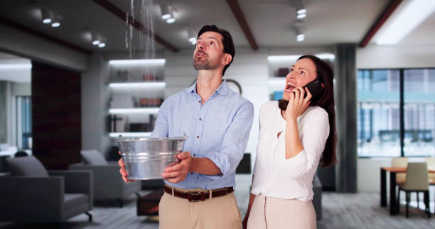 Best Water damage cleanup near me  in Montura, FL