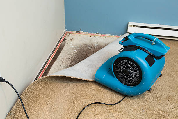 Best Sewage cleanup and water damage restoration  in Montura, FL